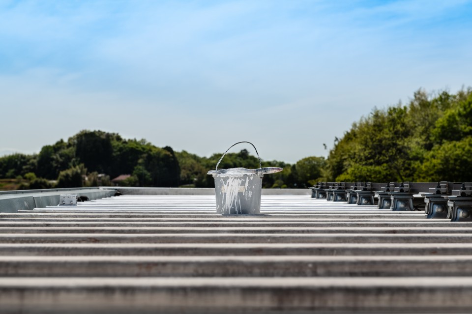 AdobeStock_435747869-960x639